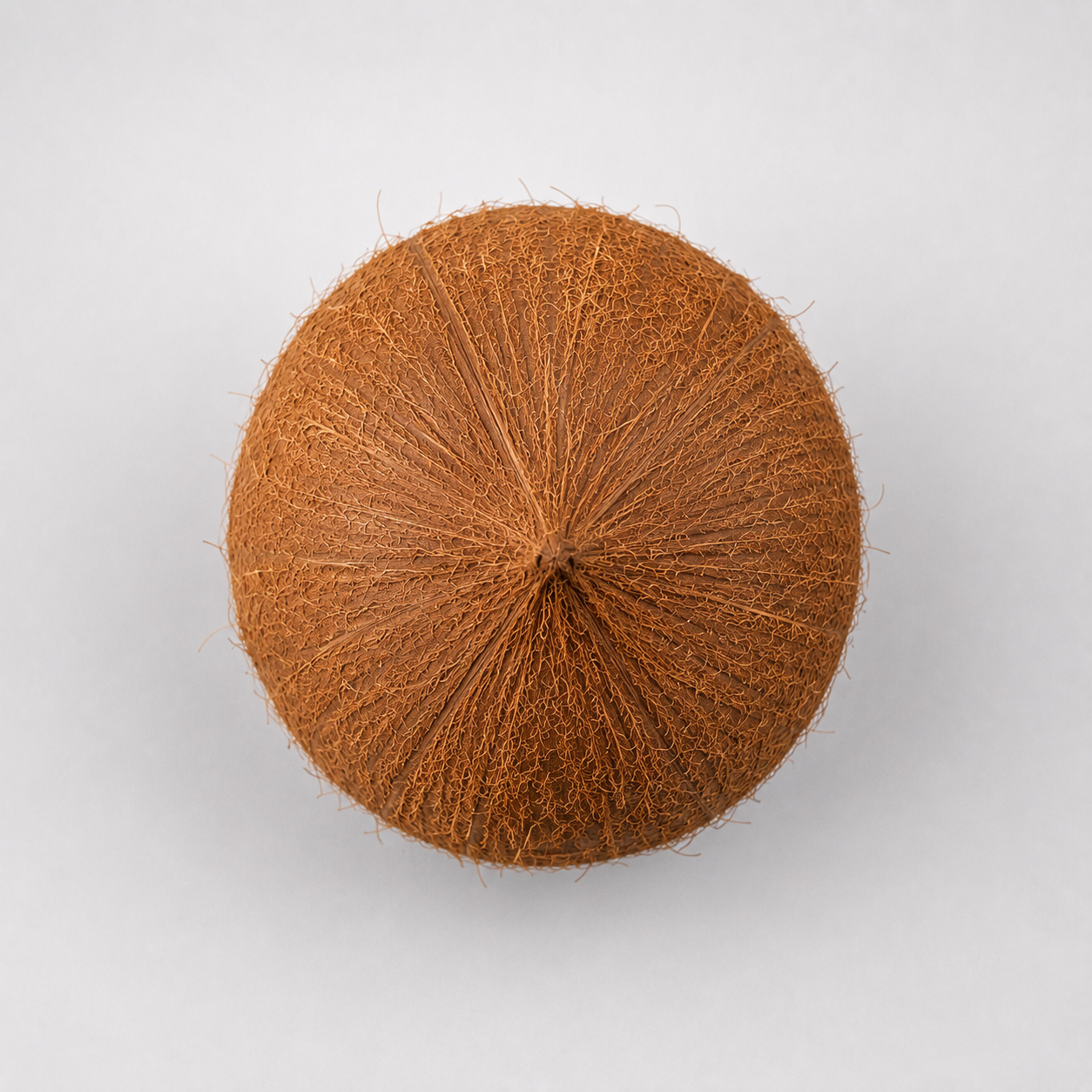 Coconut