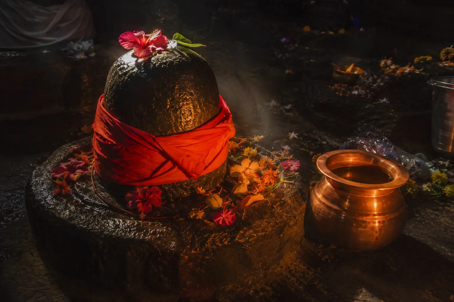 Surya Shanti Puja at Navagraha Temple, Guwahati